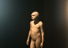 La escultura del Homo Antecessor completa la Galería de los Homínidos